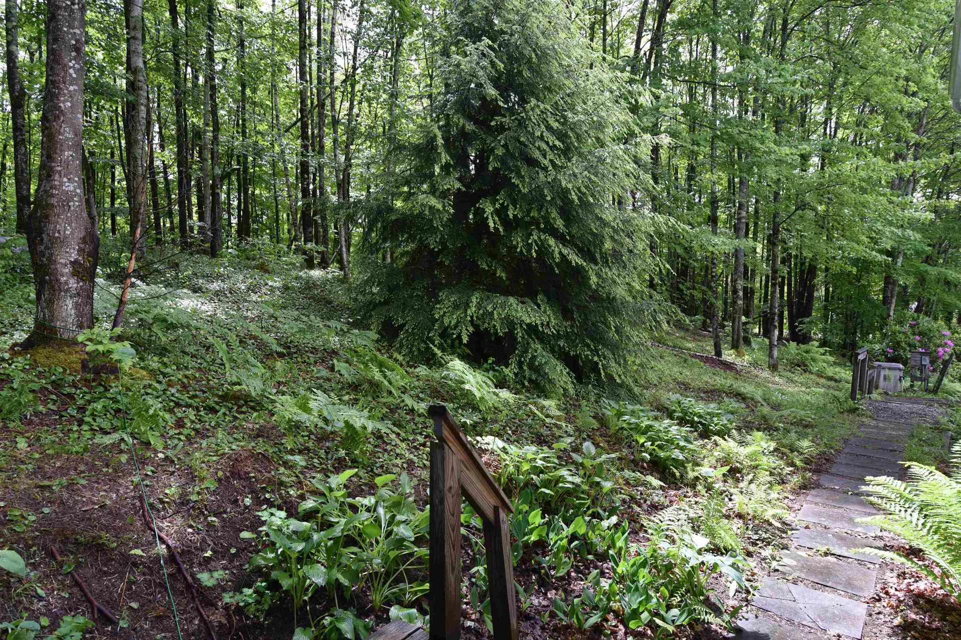 529 Stonefence Road Richmond VT 05477