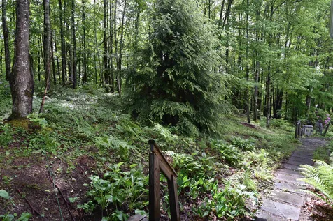 529 Stonefence Road Richmond VT 05477