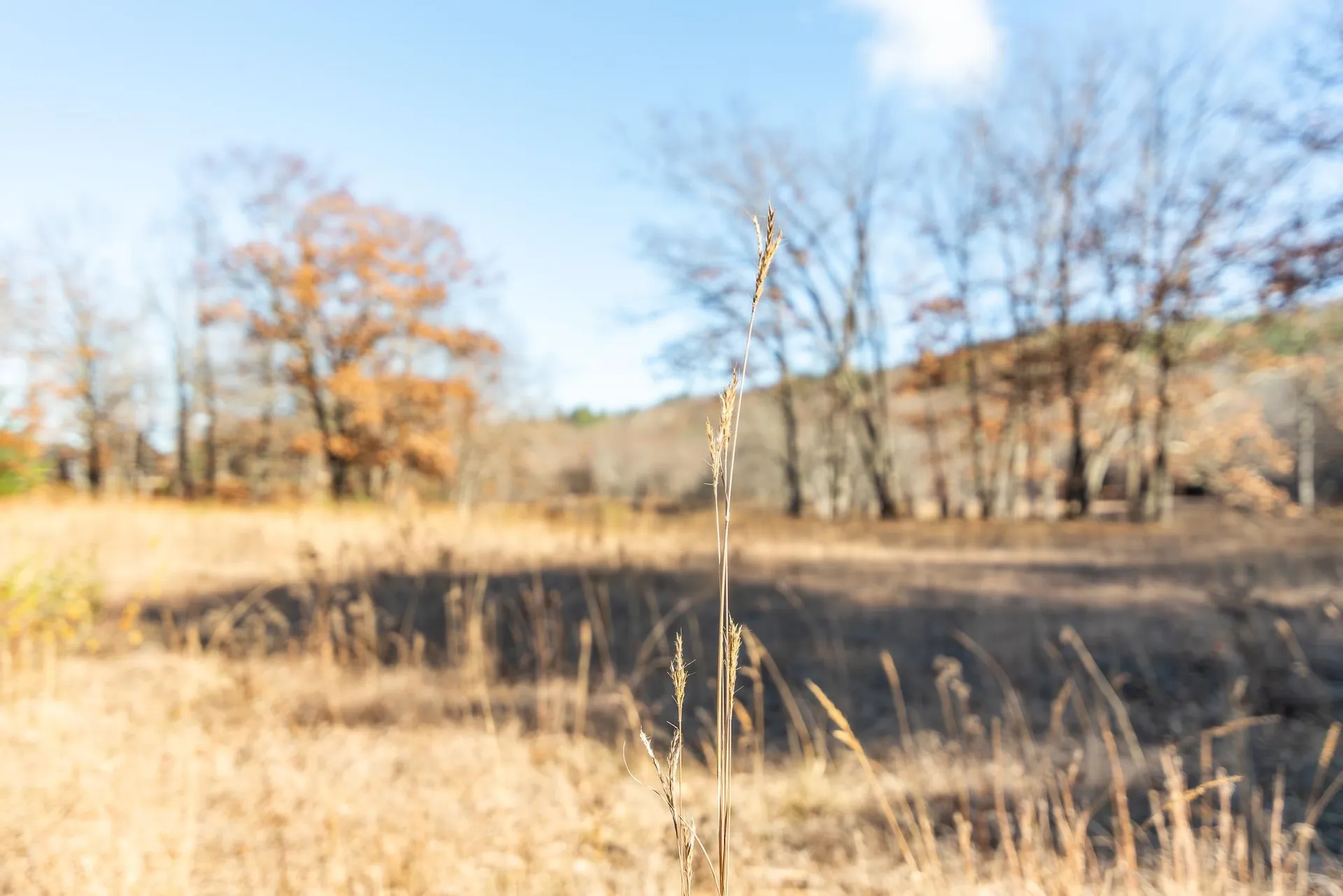 735 Western Avenue Henniker NH 03242