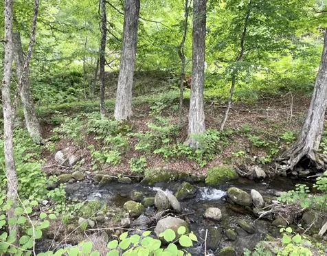 115 Brooks Road Ludlow VT 05149
