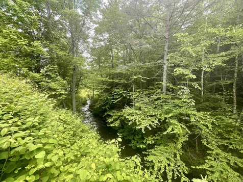 115 Brooks Road Ludlow VT 05149