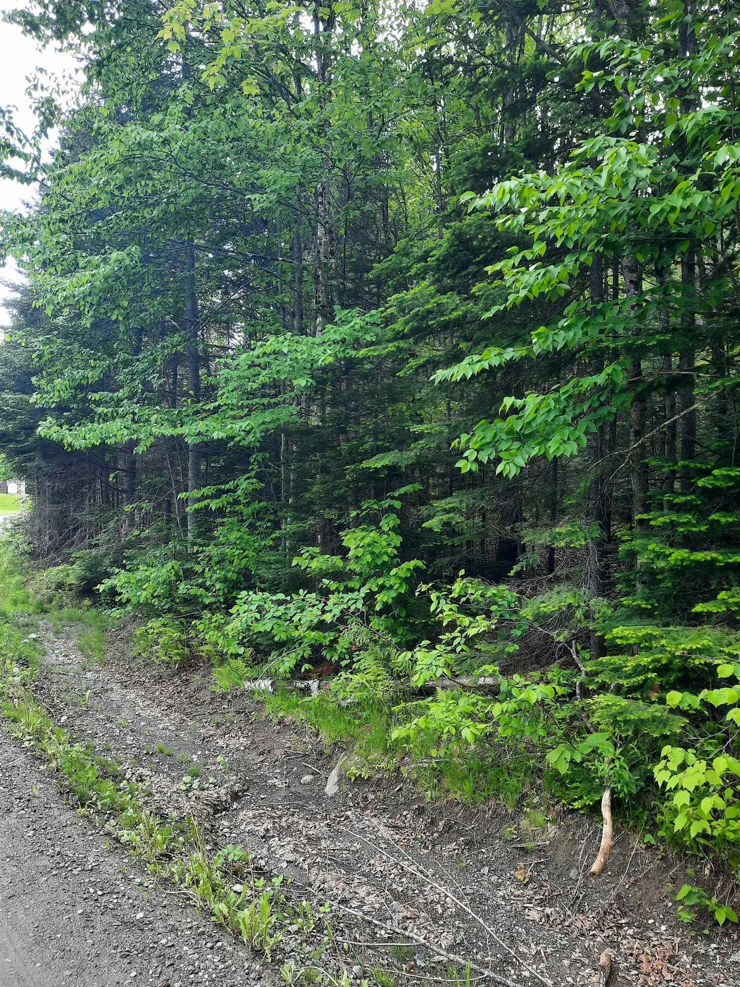 C6-443 Varney Road Pittsburg NH 03592