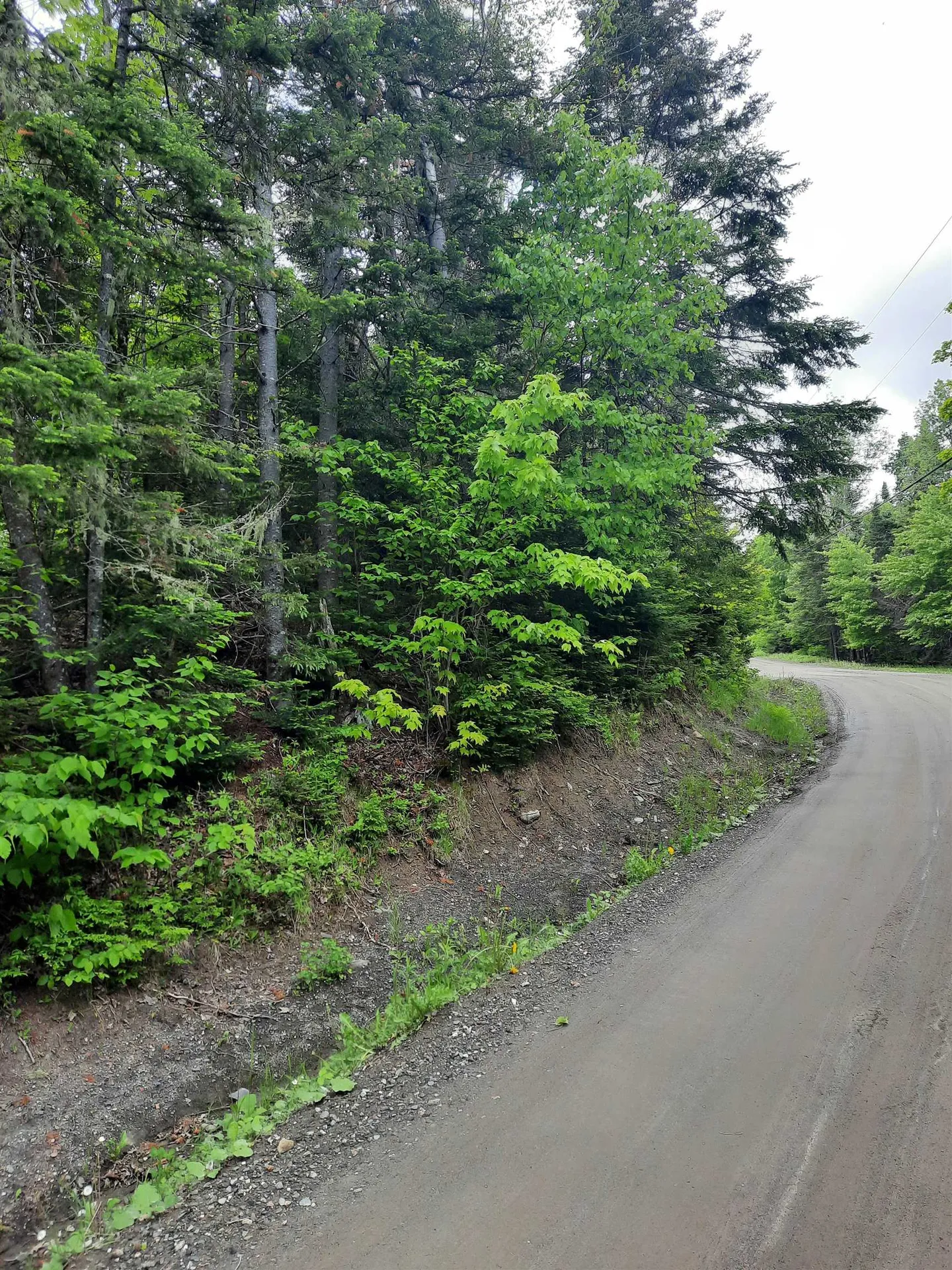 C6-443 Varney Road Pittsburg NH 03592