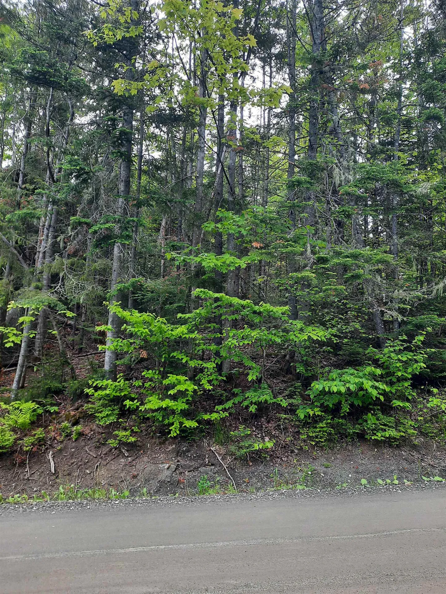 C6-443 Varney Road Pittsburg NH 03592