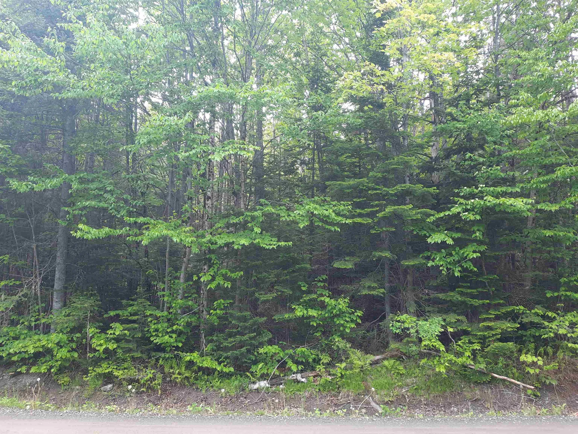C6-443 Varney Road Pittsburg NH 03592