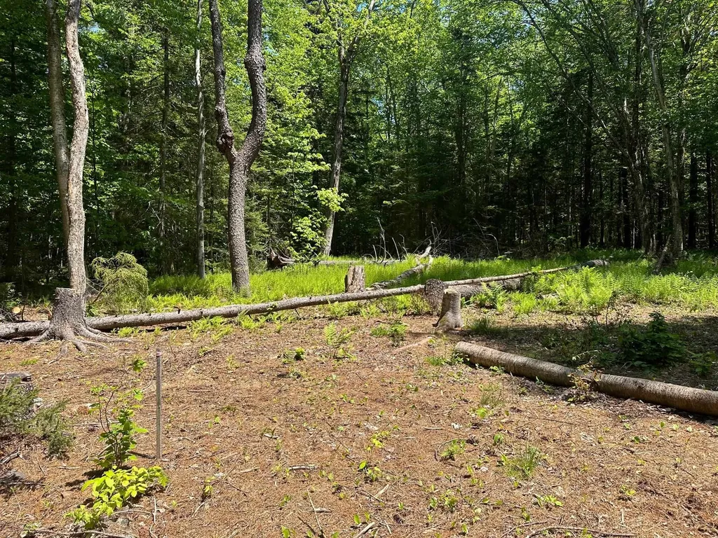232 Deer Hill Road Whitingham VT 05361