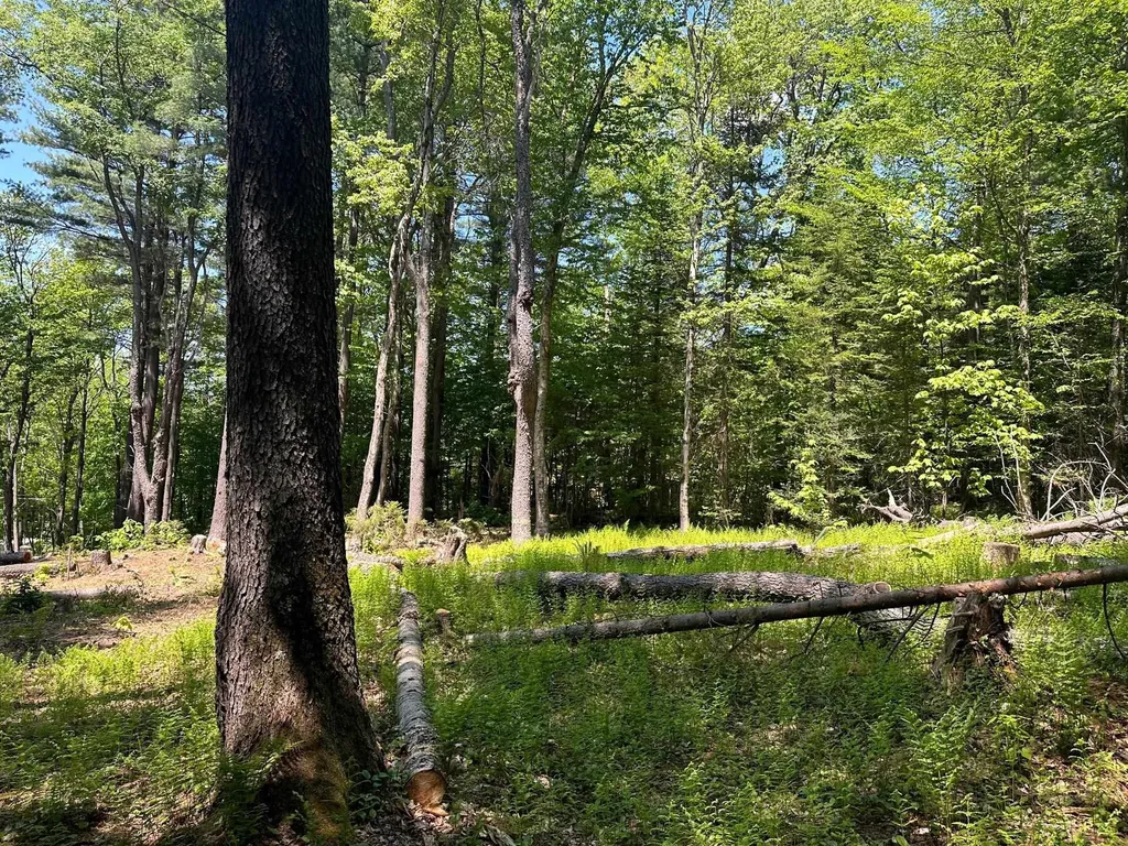232 Deer Hill Road Whitingham VT 05361