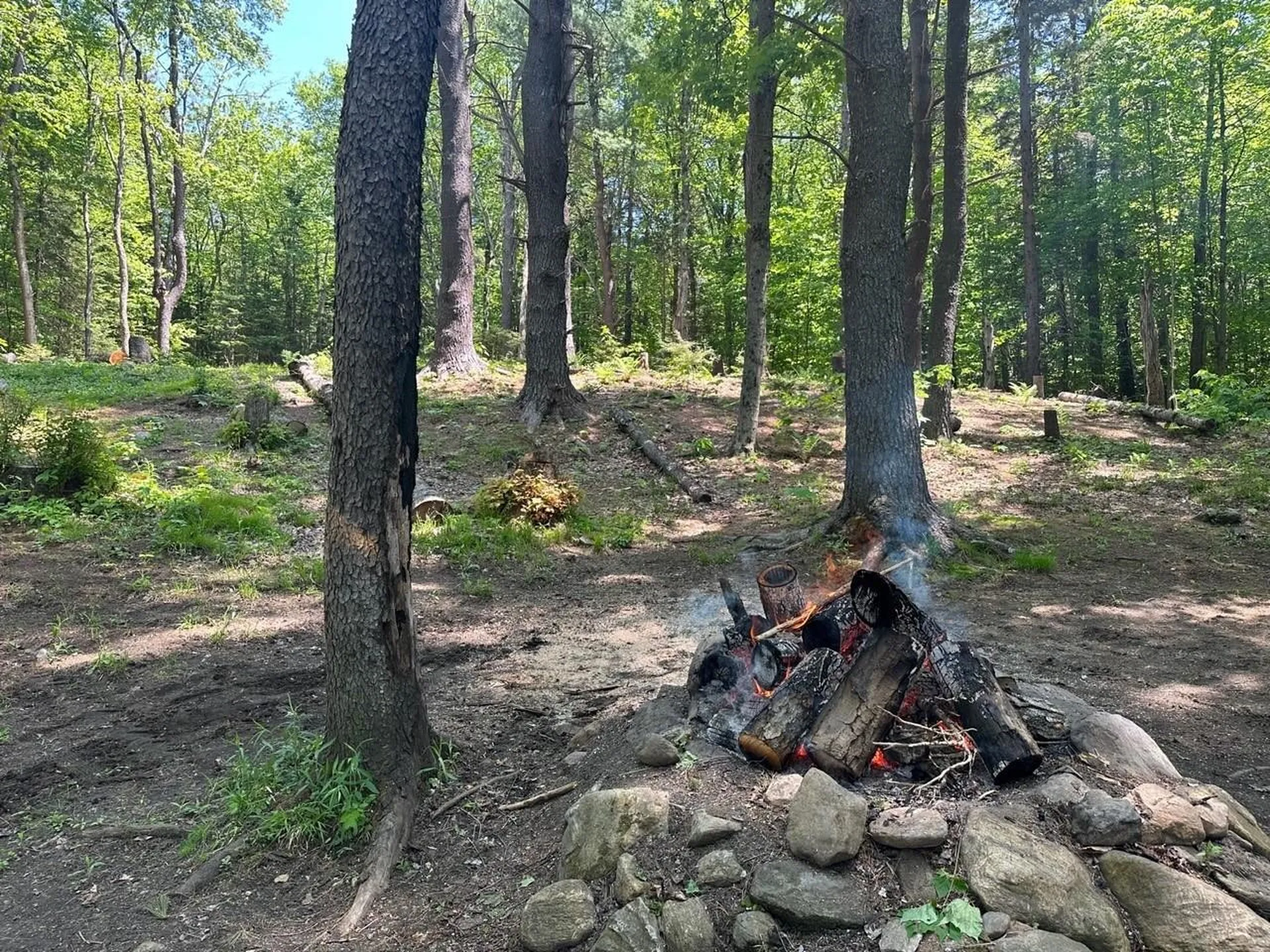 232 Deer Hill Road Whitingham VT 05361