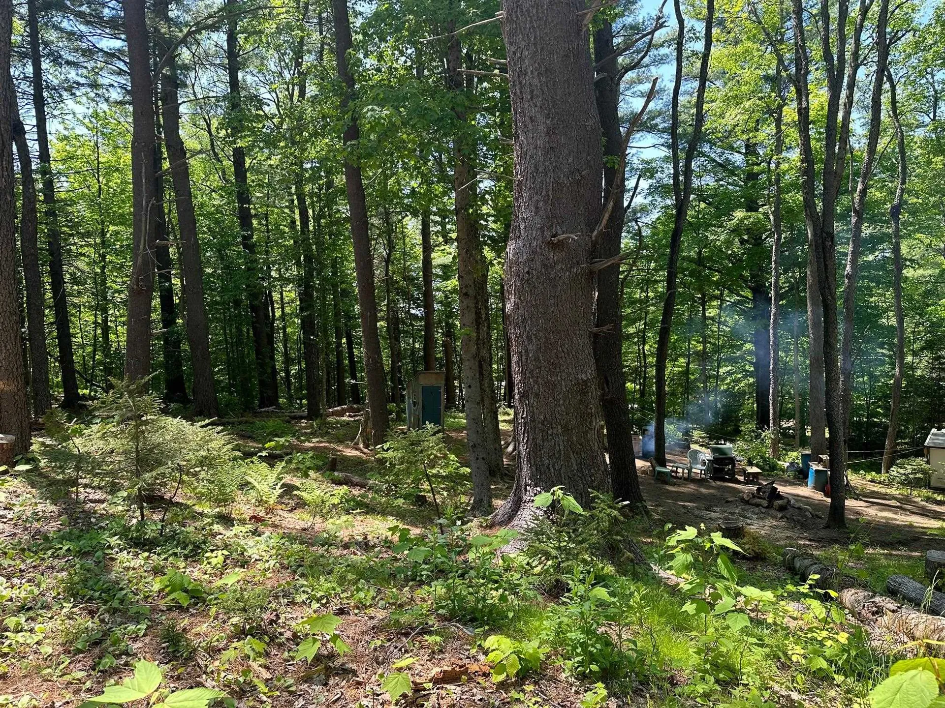 232 Deer Hill Road Whitingham VT 05361