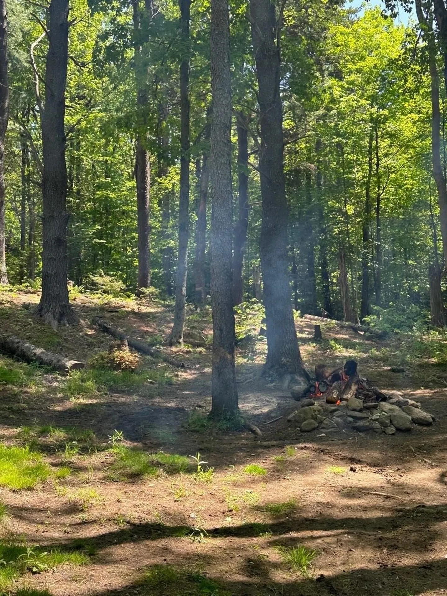 232 Deer Hill Road Whitingham VT 05361