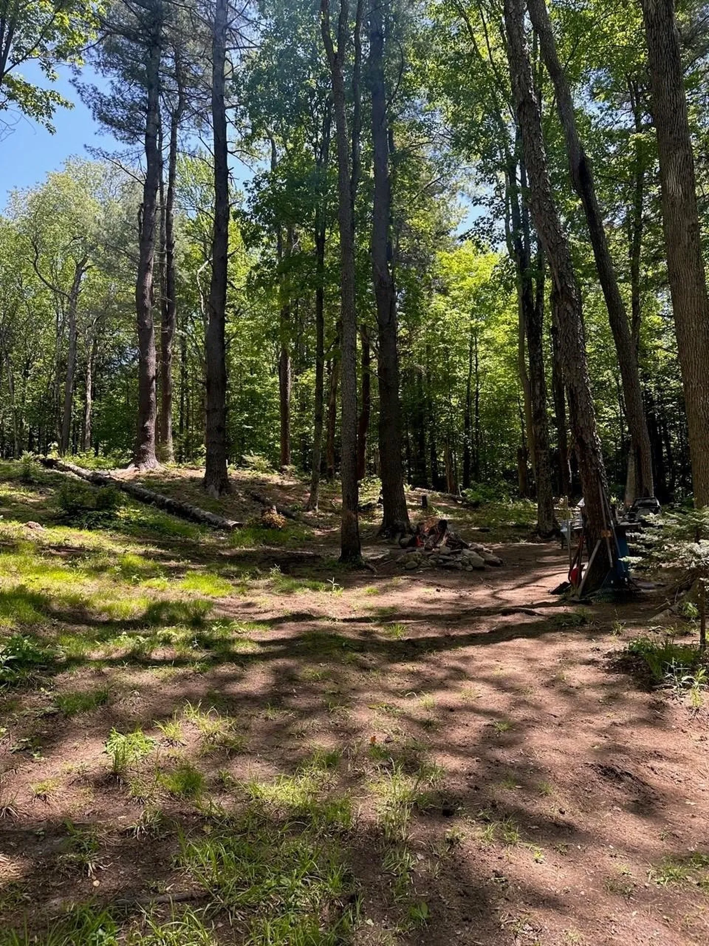 232 Deer Hill Road Whitingham VT 05361