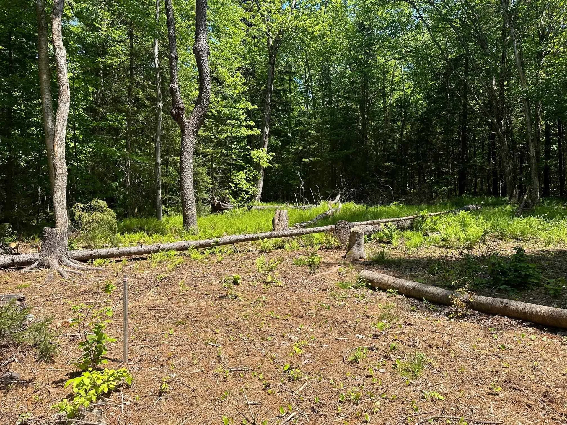 232 Deer Hill Road Whitingham VT 05361