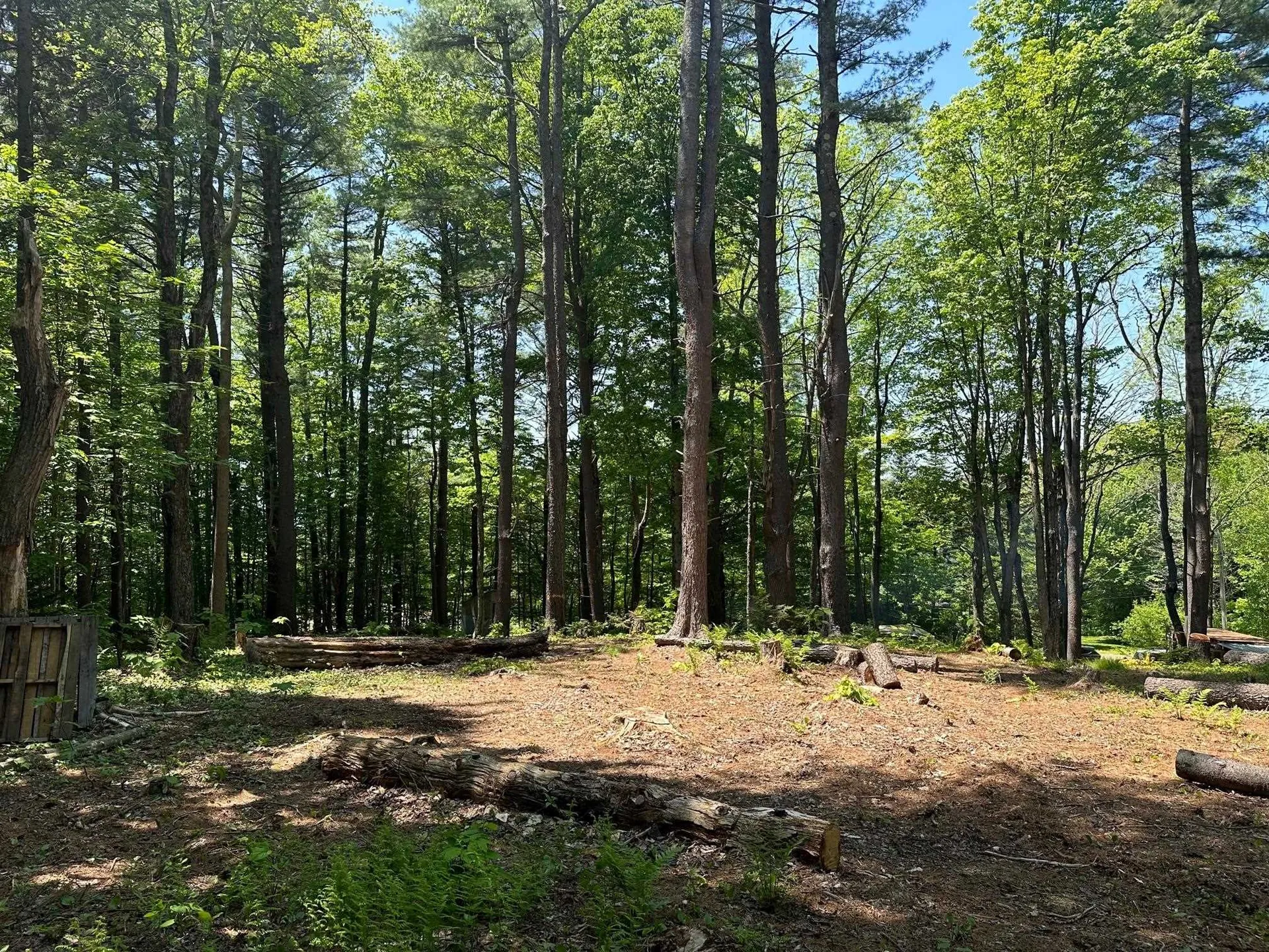 232 Deer Hill Road Whitingham VT 05361