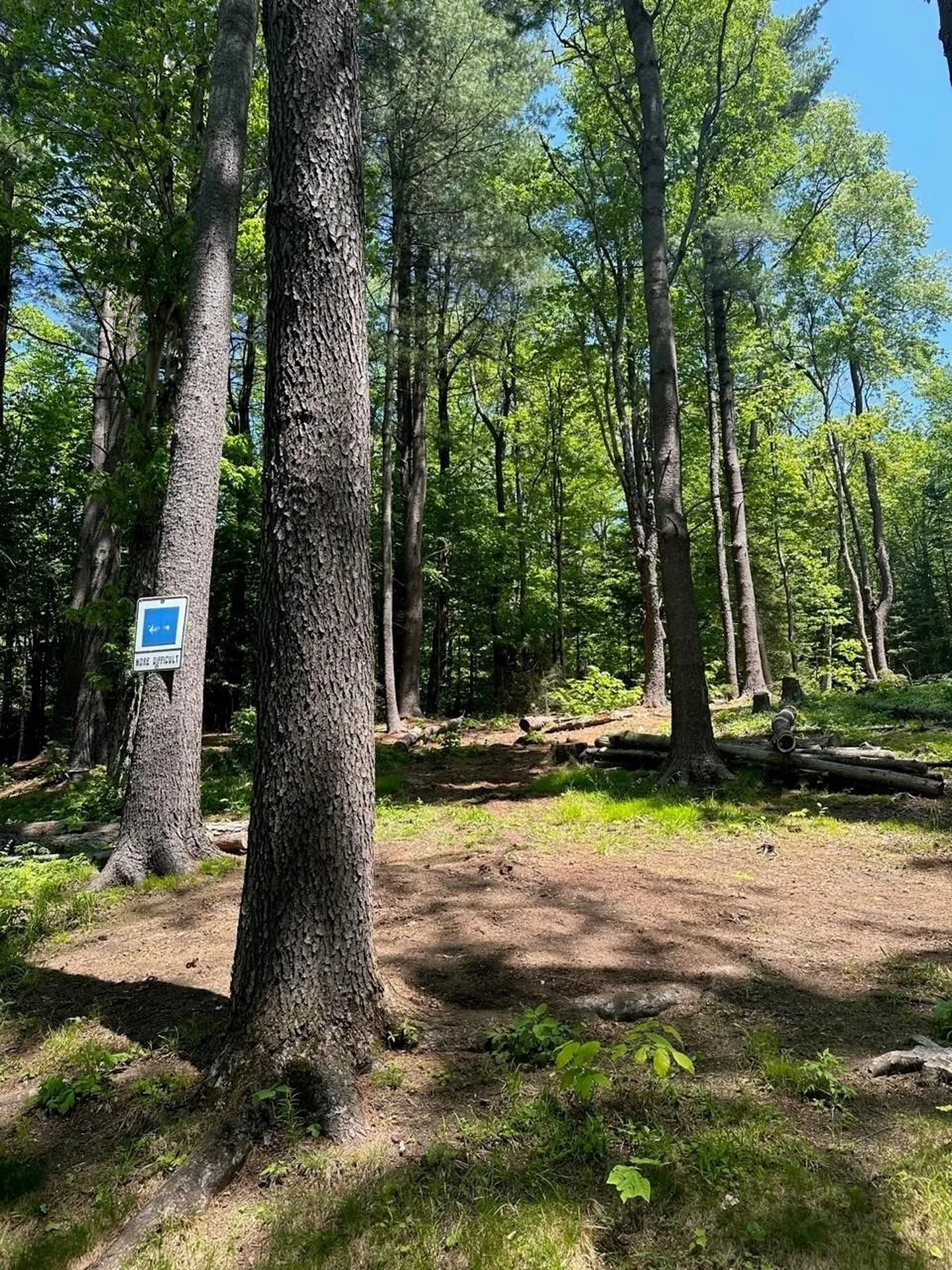 232 Deer Hill Road Whitingham VT 05361