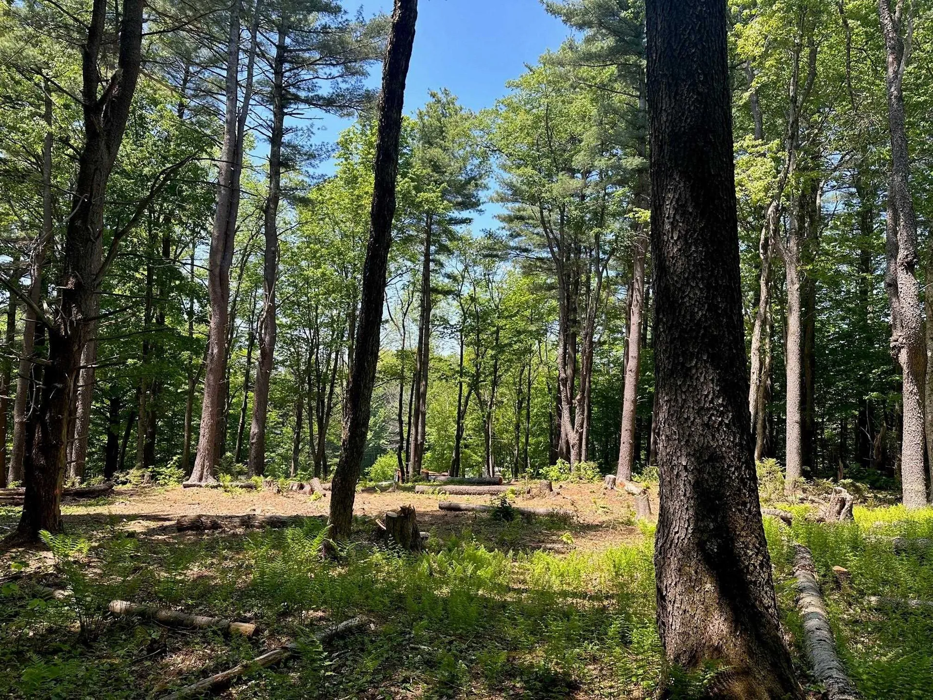 232 Deer Hill Road Whitingham VT 05361