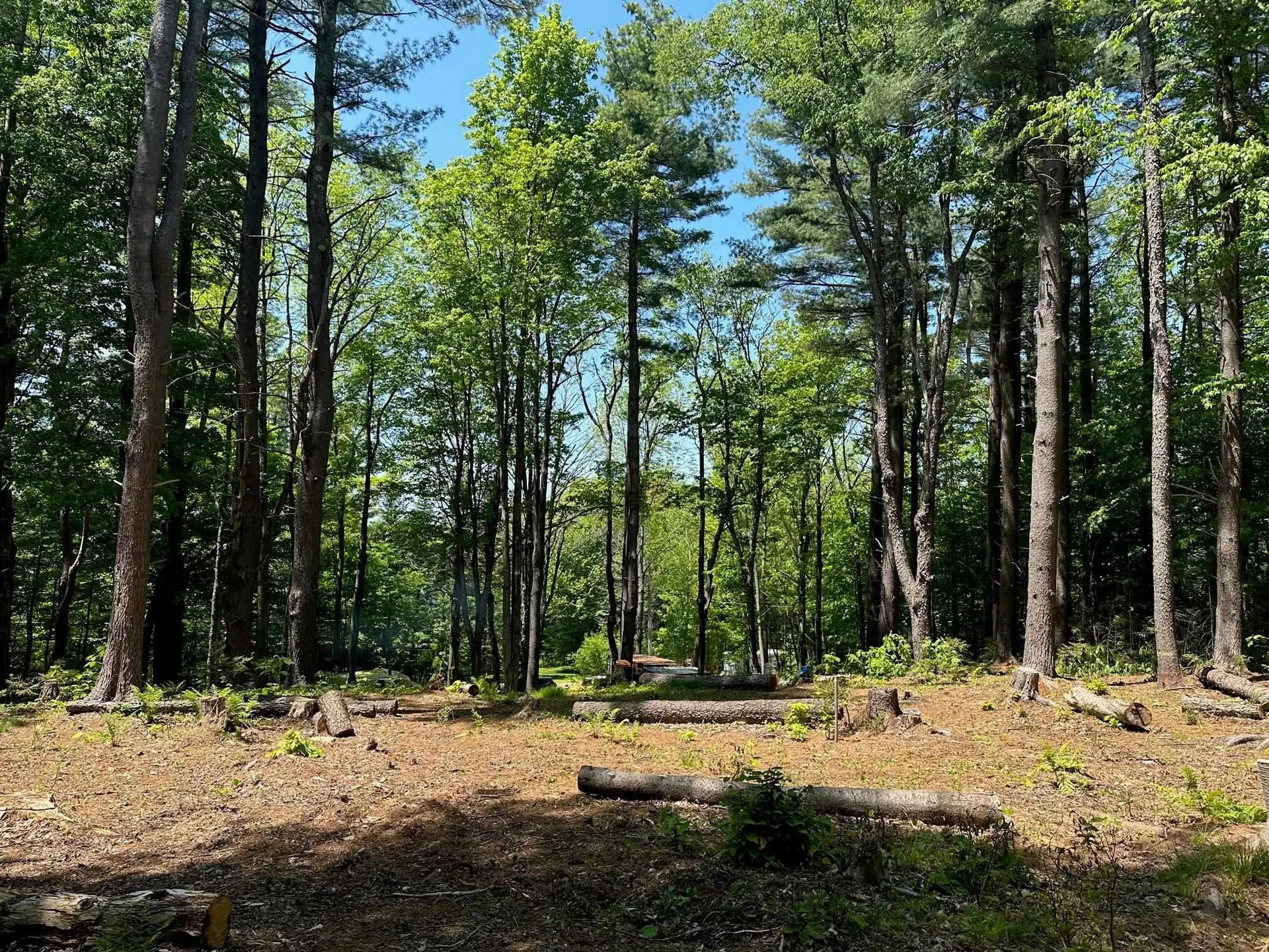 232 Deer Hill Road Whitingham VT 05361