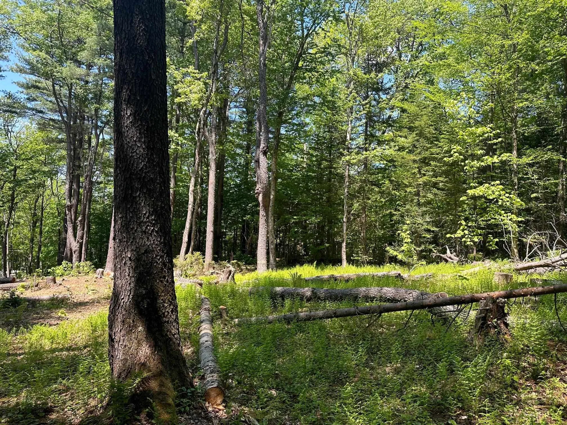 232 Deer Hill Road Whitingham VT 05361