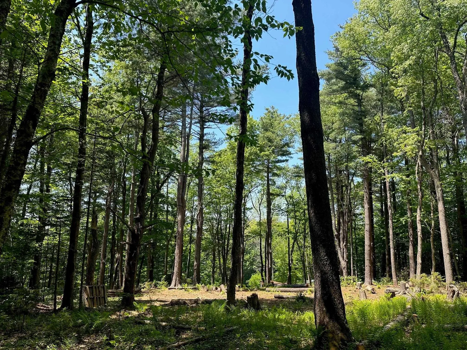 232 Deer Hill Road Whitingham VT 05361