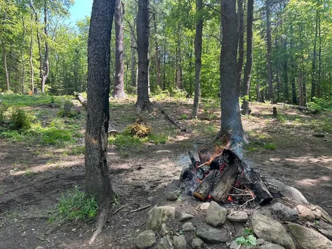 232 Deer Hill Road Whitingham VT 05361