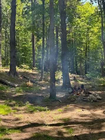 232 Deer Hill Road Whitingham VT 05361
