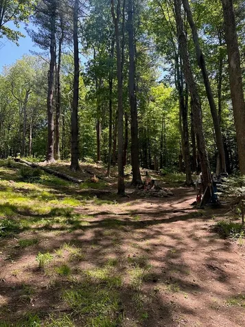 232 Deer Hill Road Whitingham VT 05361