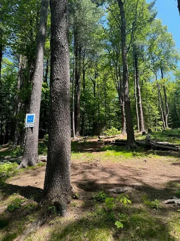 232 Deer Hill Road Whitingham VT 05361