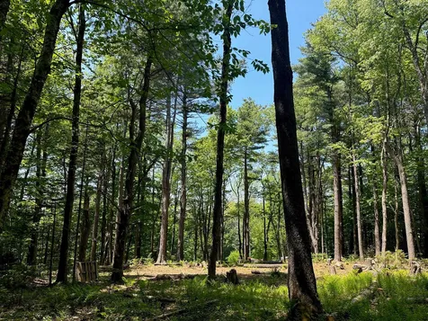 232 Deer Hill Road Whitingham VT 05361