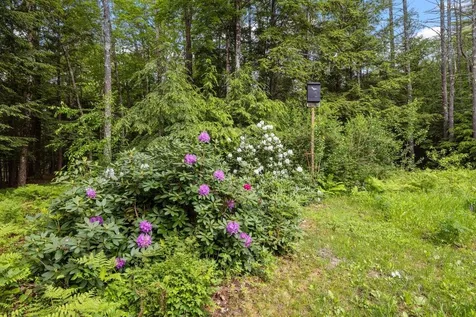 21 Locust Drive Holderness NH 03245