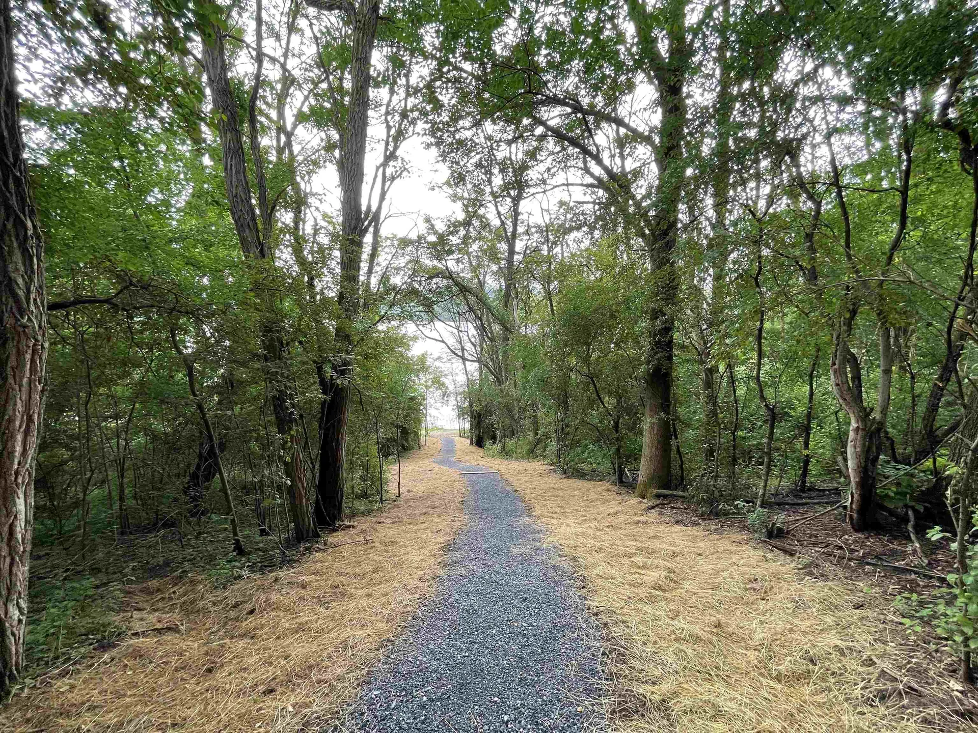 4606 Lake Street Bridport VT 05734