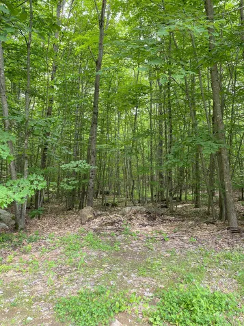 1731 Lovell Lake Road Wakefield NH 03872