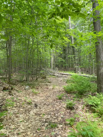 1731 Lovell Lake Road Wakefield NH 03872