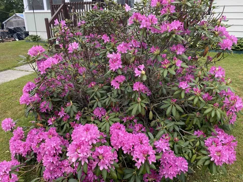 2 Greenhouse Avenue Randolph VT 05060