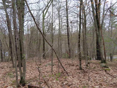 Lot 66 Scott Drive Alton NH 03810