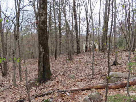 Lot 66 Scott Drive Alton NH 03810