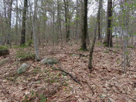 Lot 66 Scott Drive Alton NH 03810