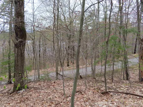 Lot 66 Scott Drive Alton NH 03810