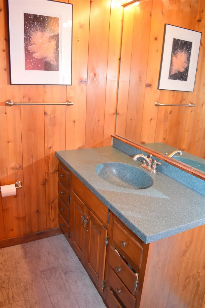 3 Birdie Knob Grantham NH 03753