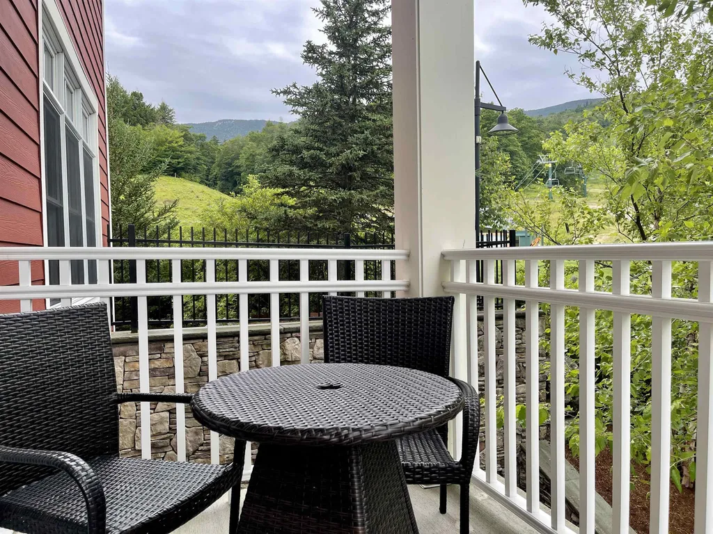 102 Forest 234 / Iii Drive Warren VT 05674