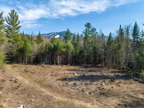 Map 21-lot 11-5 Wells Road Franconia NH 03580