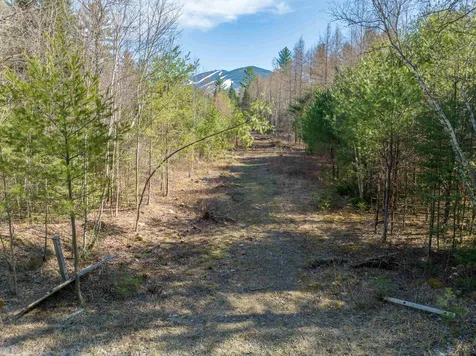 Map 21-lot 11-5 Wells Road Franconia NH 03580