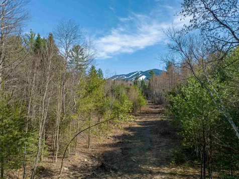 Map 21-lot 11-5 Wells Road Franconia NH 03580