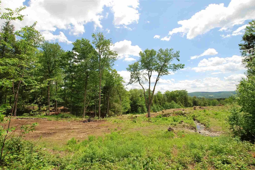 Lot 3 Berno Road Duxbury VT 05676