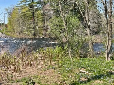 68 Nh Route 153 Effingham NH 03882