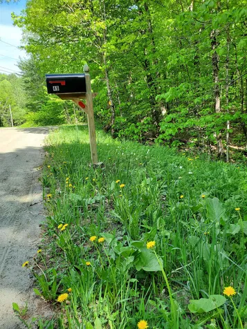 49 Ward Hill Road Tunbridge VT 05077