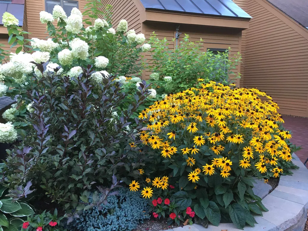8 Courtyard Hanover NH 03755