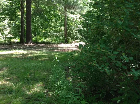 135 Pinnacle Springs Road Chesterfield NH 03443