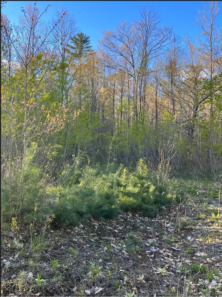 81 Paradise Drive Windsor VT 05089
