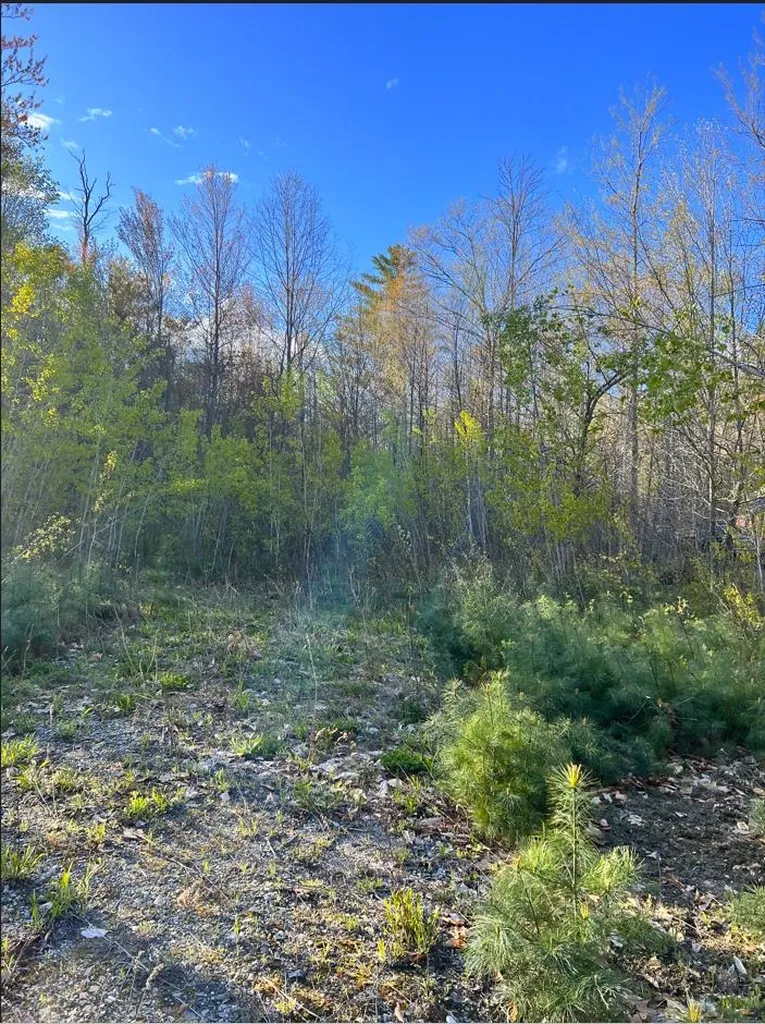 81 Paradise Drive Windsor VT 05089