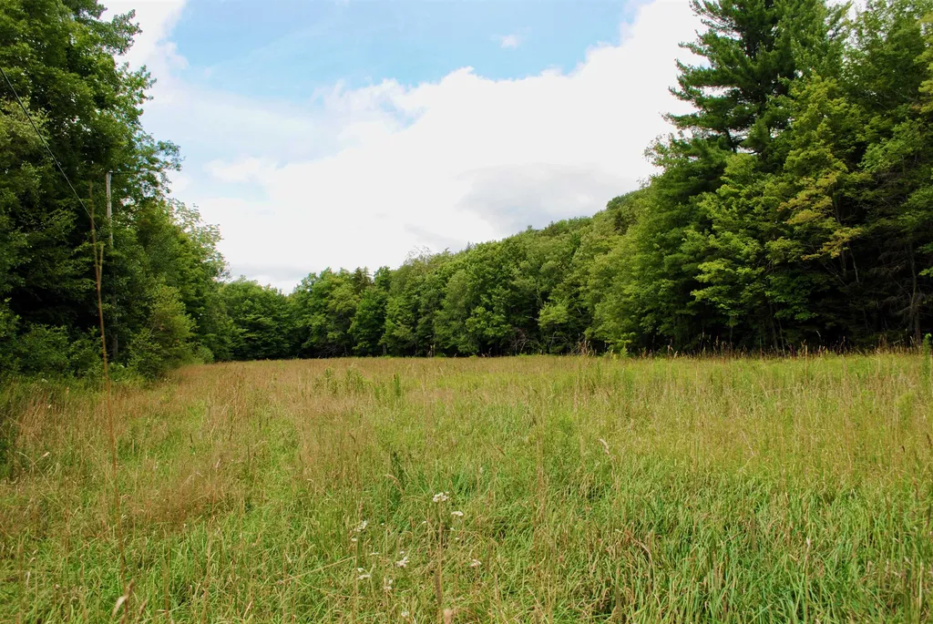 100 Blue Brook Road Dover VT 05356