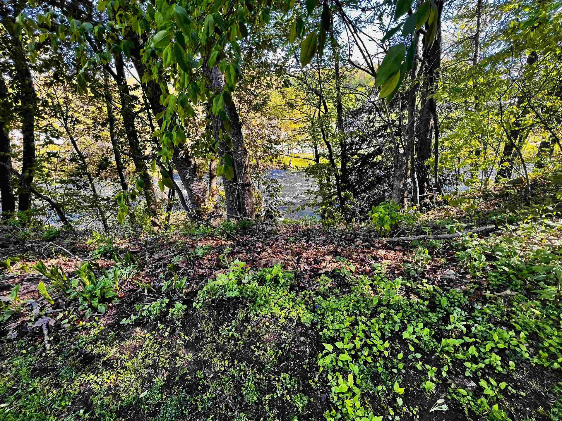 22 Snow Avenue Hinsdale NH 03451